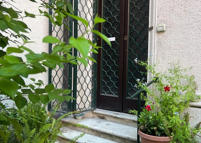 Belle Arti